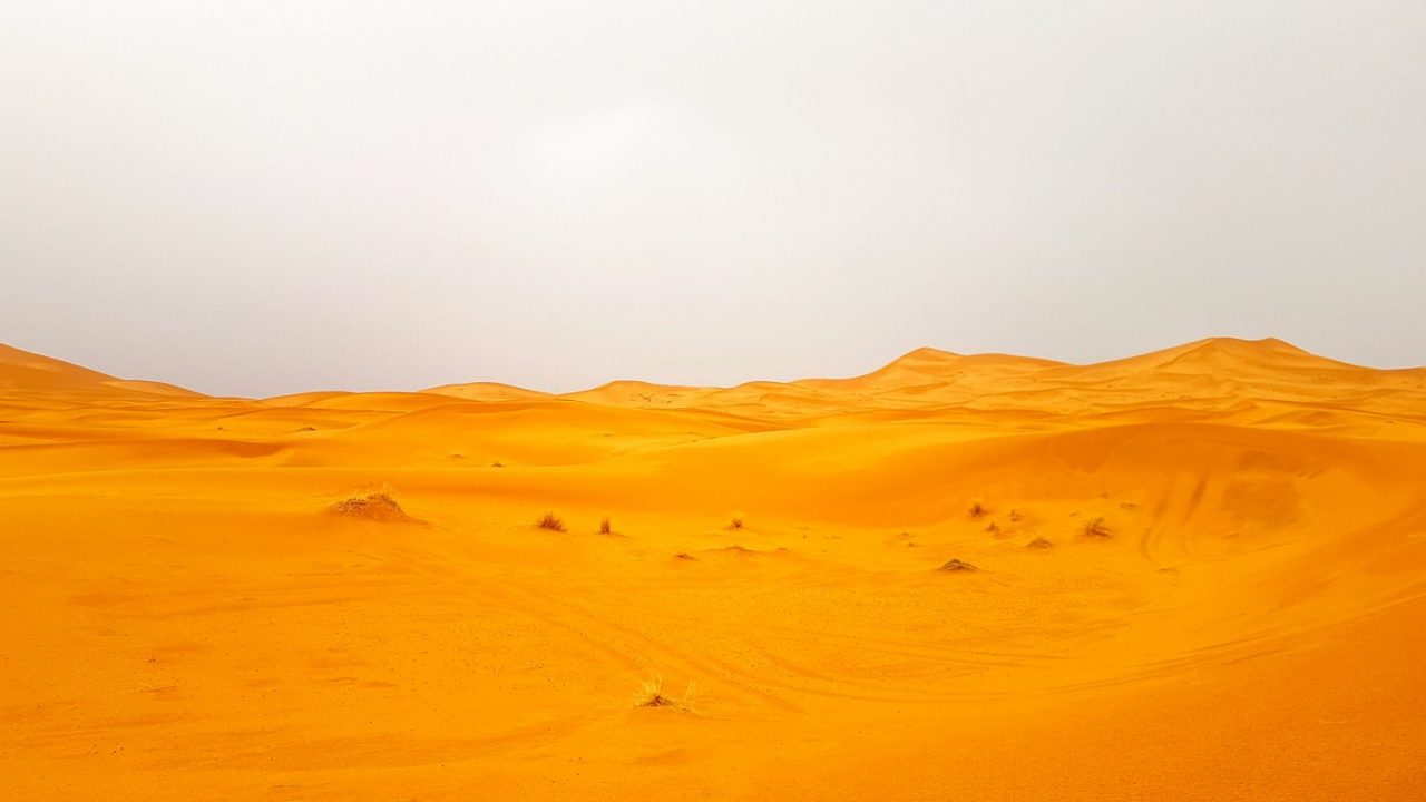 Donde esta el desierto del sahara