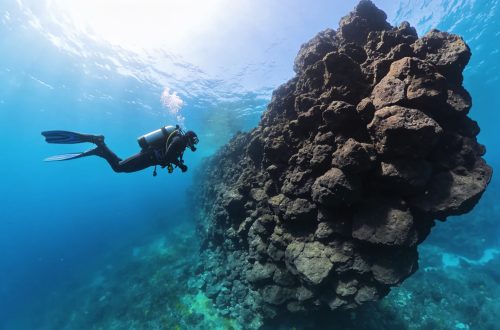 Bucear sobre la huella de un volcán: los paisajes submarinos que convierten el sur de Tenerife en un mapa geológico bajo el Atlántico